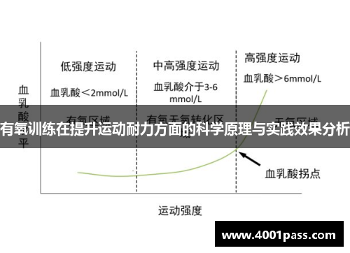 有氧训练在提升运动耐力方面的科学原理与实践效果分析
