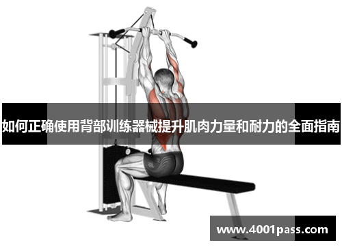 如何正确使用背部训练器械提升肌肉力量和耐力的全面指南